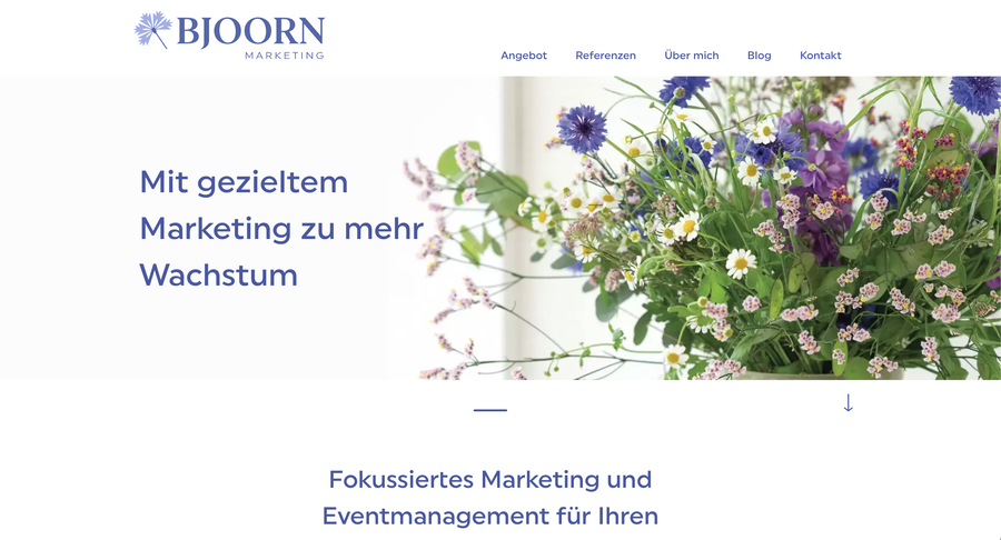 Bjoorn marketing